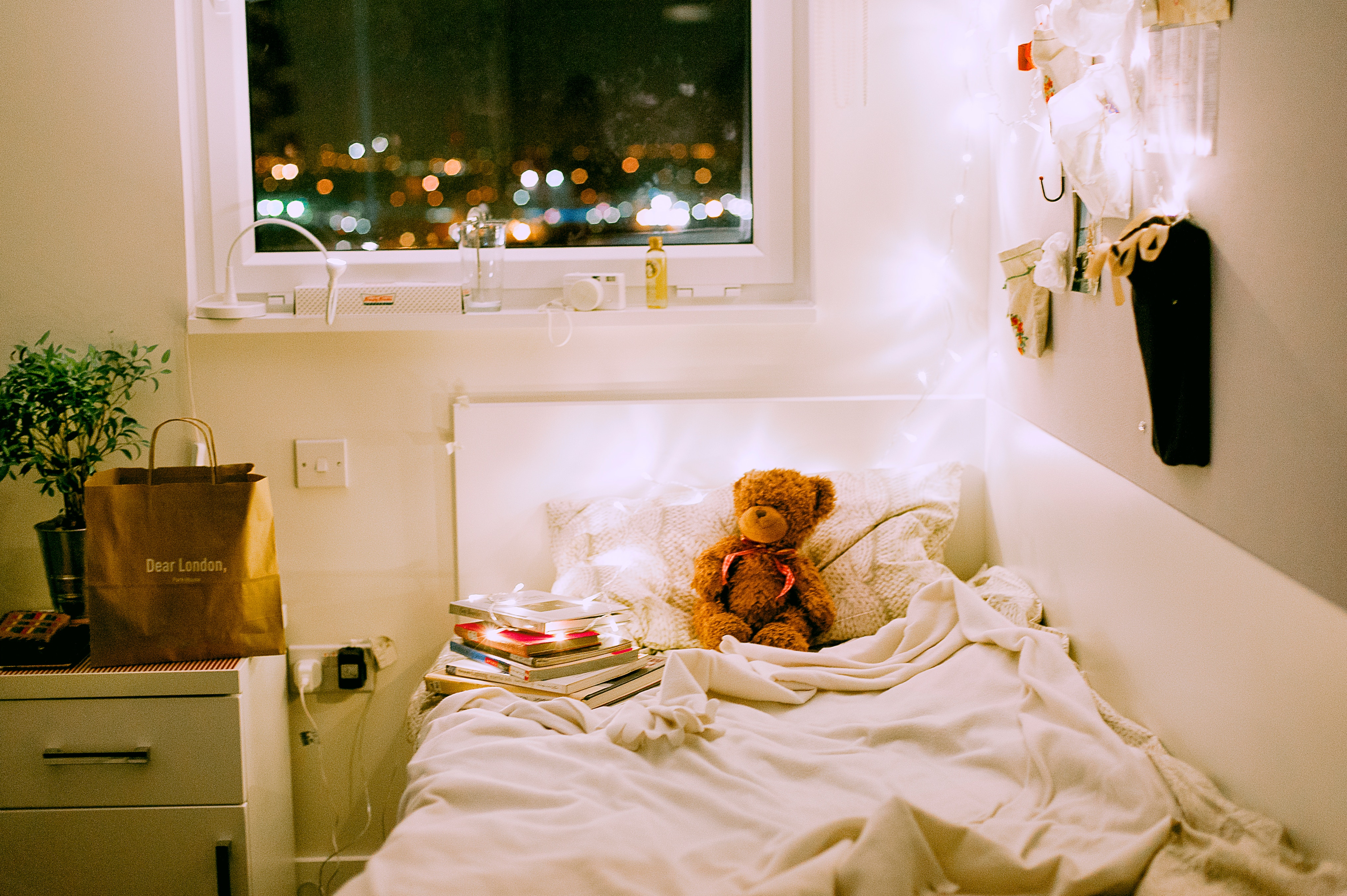 A college or university dorm room with a bed and a teddy bear on it