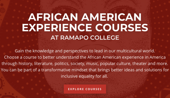 Screenshot of an African American Experience Course Page